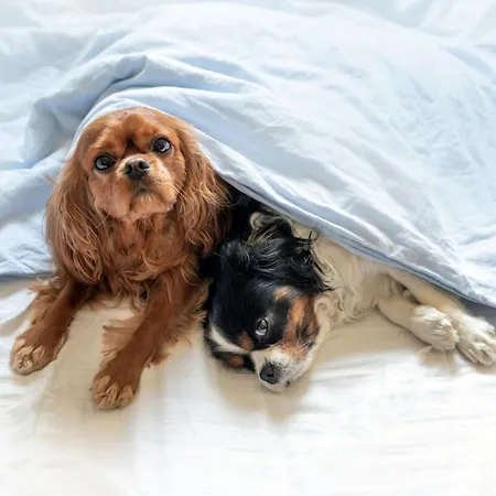 Playa De La Lanzada 3000
