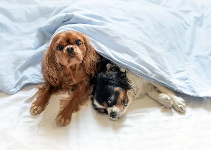 Playa De La Lanzada 3000